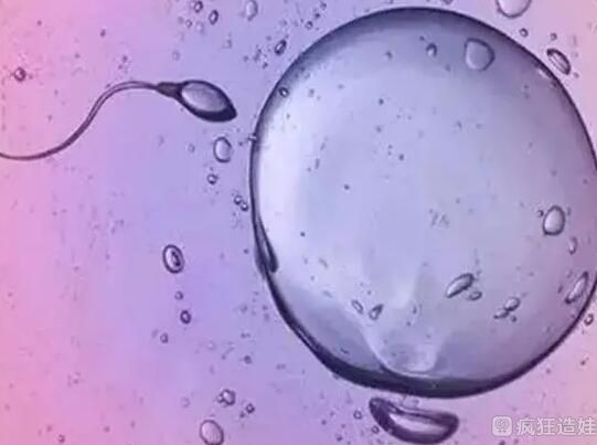 重庆第三代试管婴儿生男孩费用高吗？十五万够吗？