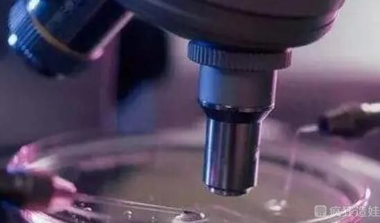 广东第三代试管婴儿包男孩贵不贵？十五万够吗？