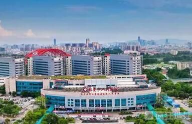 东莞市人民医院能做供卵第三代试管婴儿吗？胚胎移植成功率多少？