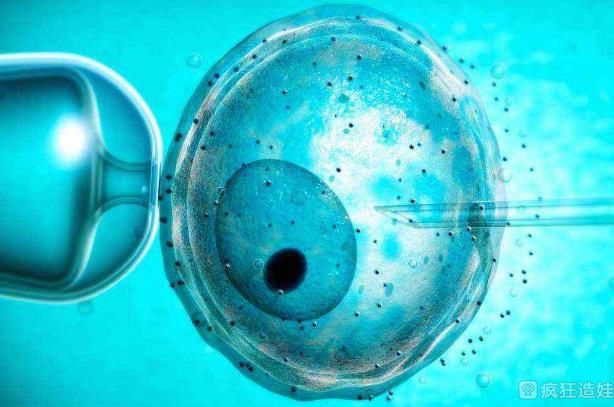 2023最新中国十大第三代试管婴儿医院胚胎移植成功率排名？
