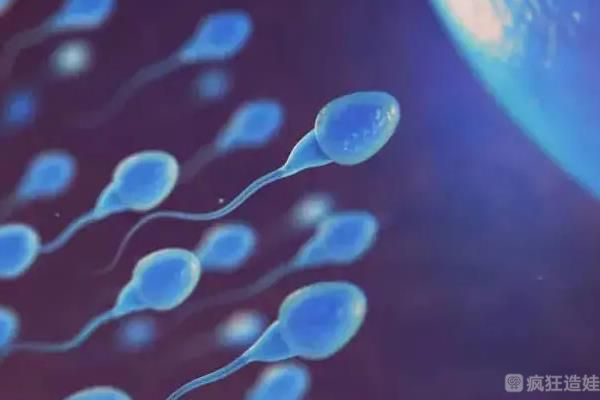 朝阳医院生殖中心可以做供精试管婴儿吗？胚胎移植成功率如何？