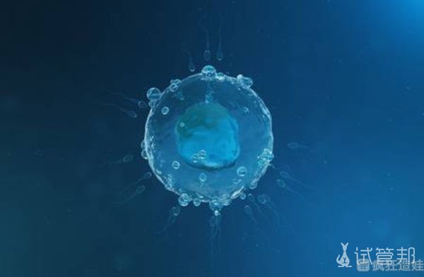 高龄失独家庭做试管婴儿助孕，让我走出绝望