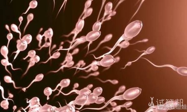 国内第二代试管婴儿之促排阶段_目的地攻略-试管邦