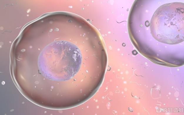 amh值低于0.47和基础卵泡数量不匹配做第三代试管婴儿能够成功吗？