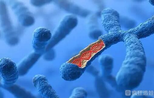 香港做第三代试管婴儿一定能生儿子吗？9万能做第三代生儿子吗？