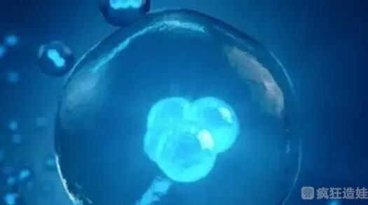 长春第三代试管婴儿医院生男孩排行榜？附详细成功率？