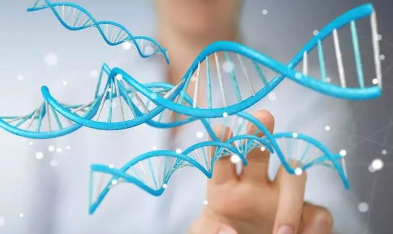 3分钟掌握试管基因检测的作用与意义，有无必要读完后就懂