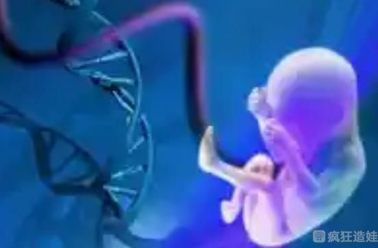 北京朝阳医院二代试管婴儿包生男孩费用多少？生男孩费用明细一览？