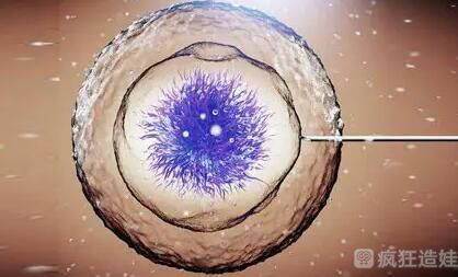 做三代试管婴儿想让胚胎快点着床怎么办？附详细方法？