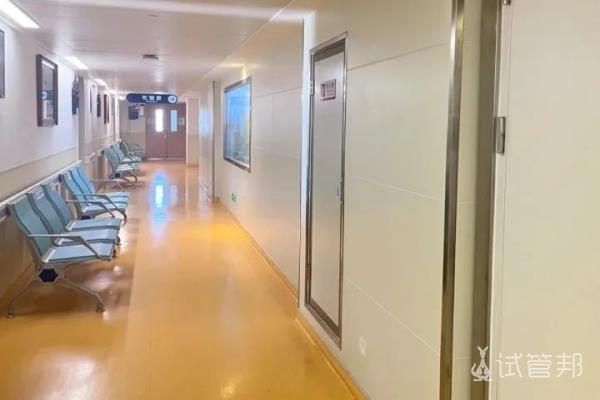 火箭军特色医学中心试管婴儿ivm成功入院 准备取卵