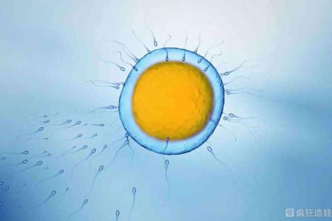 单角子宫结婚两年没有怀孕，老公精子活力也差能做第三代试管婴儿吗？