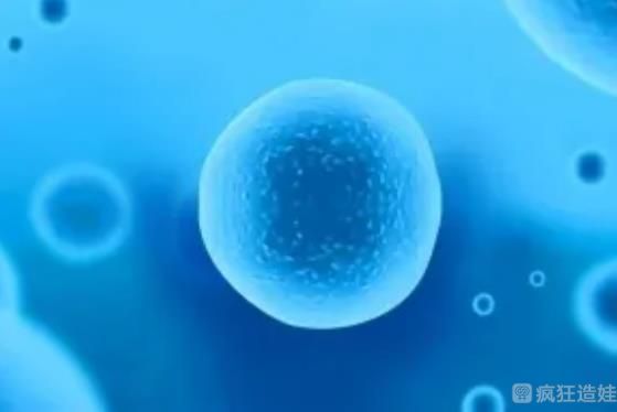 2023泰安供卵第三代试管婴儿医院排名，哪家医院胚胎移植成功率最高？