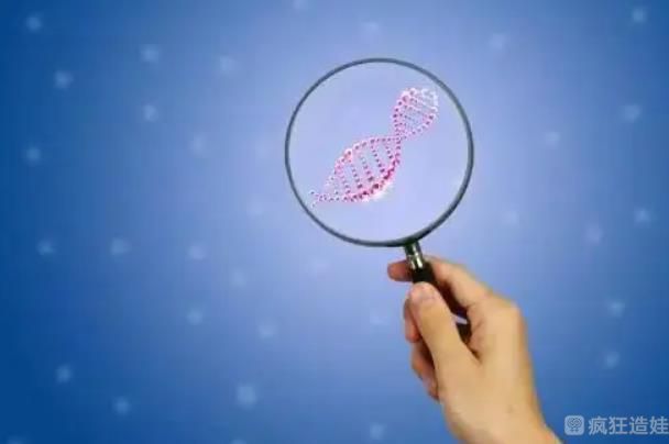 2023漳州第三代试管婴儿医院排名，哪家胚胎移植成功率最高？