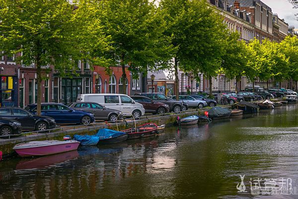 荷兰二代试管婴儿成功率怎么样 高吗