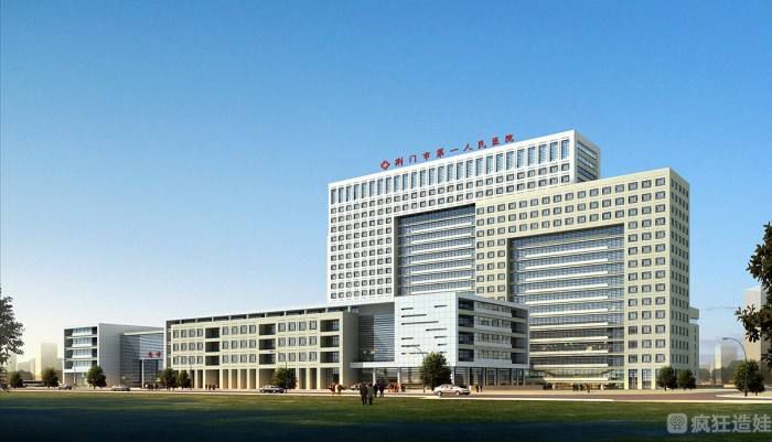 2025荆州市中心医院可以做第三代试管婴儿吗？具体费用要多少？