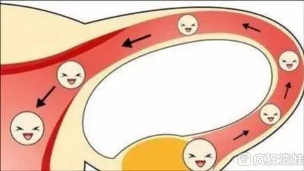 2023湖北武汉哪里可以做第三代试管婴儿？第三第三代试管婴儿哪里做？