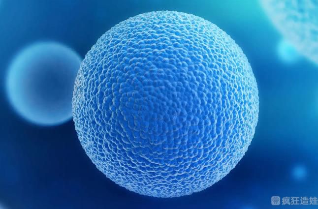 盛海琳60岁都绝经了是怎么通过第三代试管婴儿生孩子的？