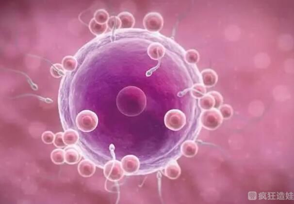 广州第三代试管婴儿包生女孩价格？二十万够不够？