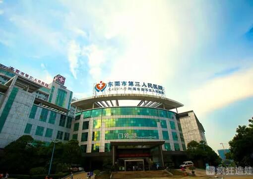 东莞市第三人民医院供卵第三代试管婴儿怎么样？附详细试管婴儿胚胎移植成功率？