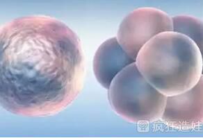 2023黔东南州中医院供卵试管婴儿怎么样？附详细流程成功率？