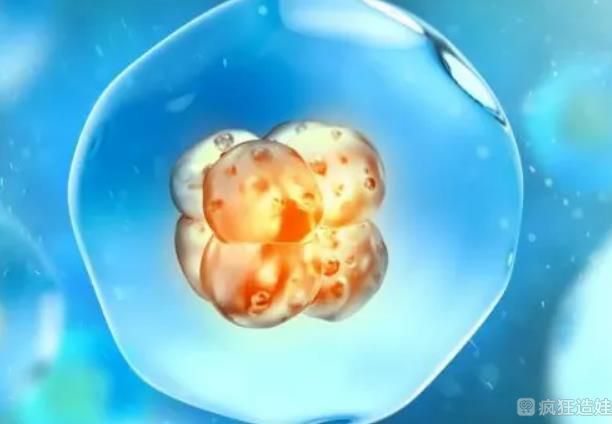 10个人做二代试管有几个能一次性成功？影响二代试管婴儿的因素有哪些？