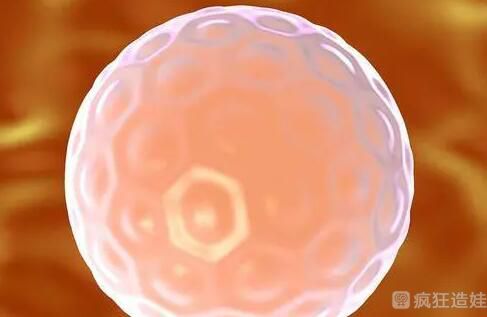 山东省中医院第三代试管婴儿养囊后移植成功率有多高？附详细成功率信息？