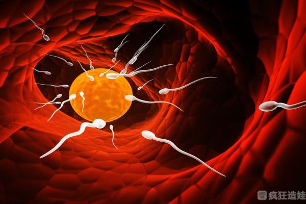 国内可以借亲属的卵子做供卵三代试管婴儿吗？