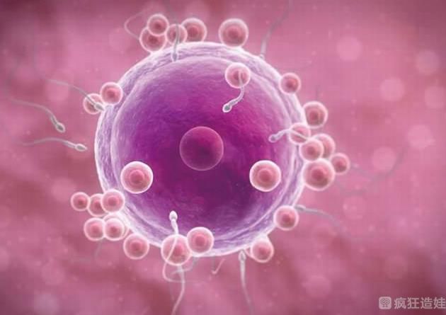 中南大学湘雅医院做第三代试管婴儿怎么样，费用大概多少？