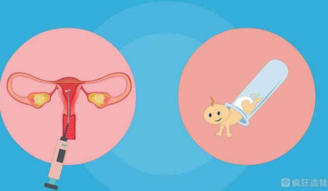 取3个卵泡做第三代试管婴儿可以成功配型多少个胚胎？