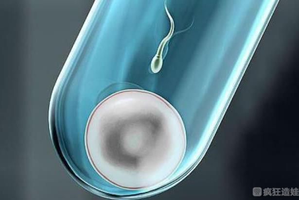 浙江最有名的试管婴儿医院排名前十强，附供卵三代试管生男孩条件解读！