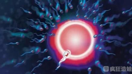 2022海南医学院第一附属医院二代试管婴儿生男孩费用？附详细成功率？