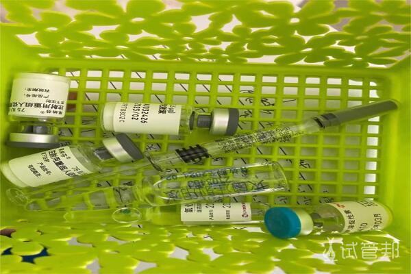 中国医科大学附属盛京医院试管婴儿成功好孕