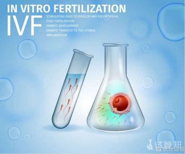多次流产，第三代试管婴儿助我好孕