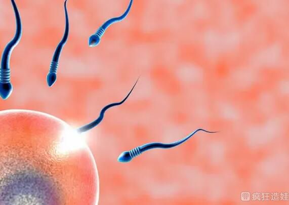 梅州市人民医院供卵第三代试管婴儿胚胎移植成功率？附胚胎移植成功率数据详情？