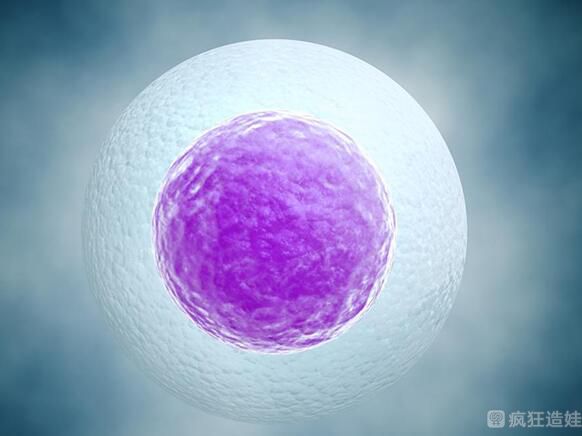 内蒙古做供卵第三代试管15万可信吗？2023年内蒙古供卵第三代试管婴儿价格表