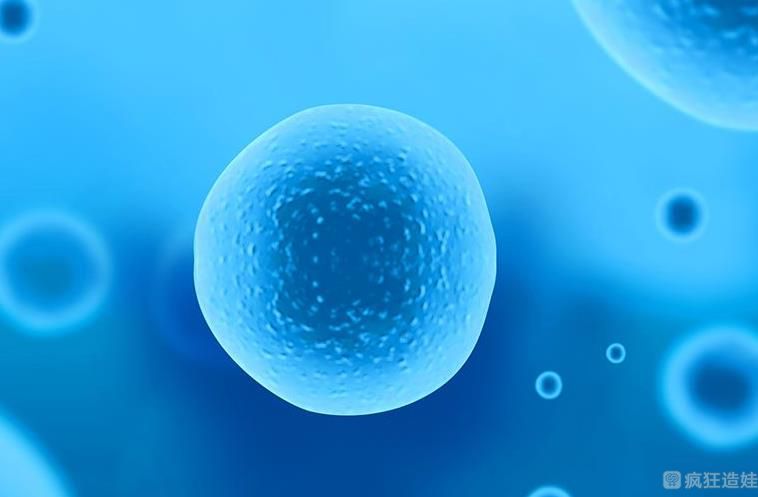 2025年荆门三代试管婴儿医院排名？哪家试管成功率高？