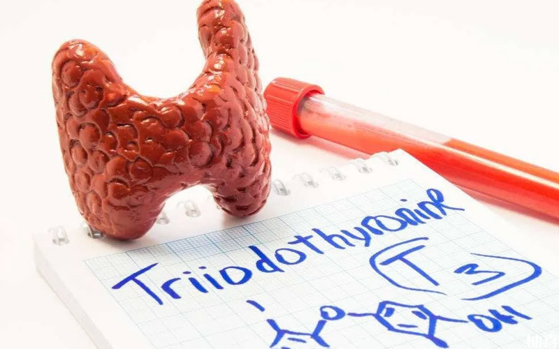 试管甲状腺检查指标有讲究，要不要空腹影响最终结果