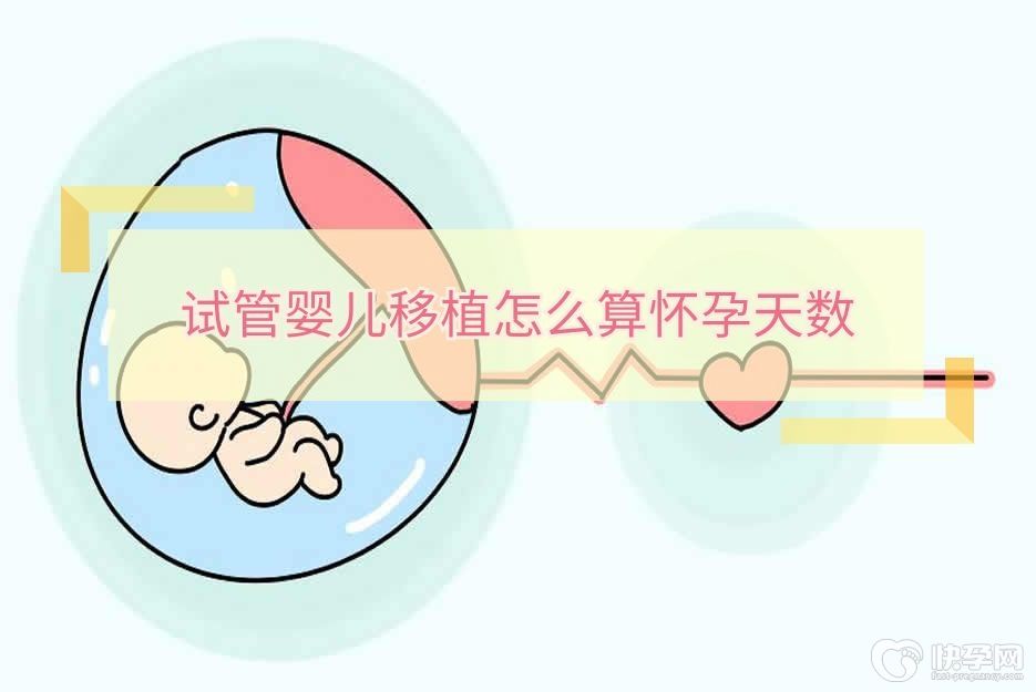 试管婴儿移植怎么算怀孕天数？专家教你准确计算包你一看就会