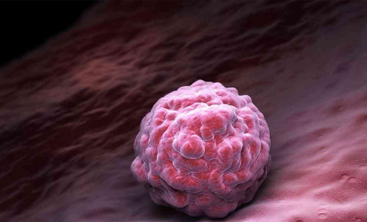 囊胚质量等级划分，分享移植后成功率着床时间