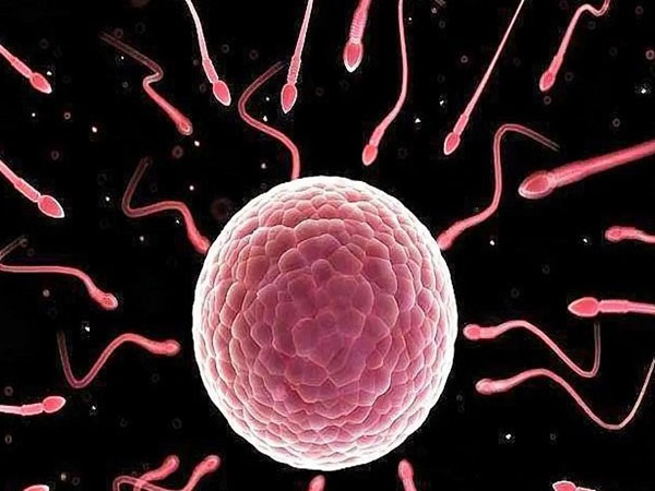 如何准确的精准哪一天受孕的方法,其中B超监测非常准确