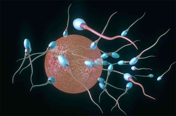 怀没怀孕看内裤就知道！有什么玄机普通人也能一招辨别