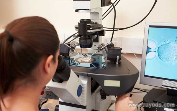 美国ccrh和scrc生殖中心做试管哪个更靠谱?