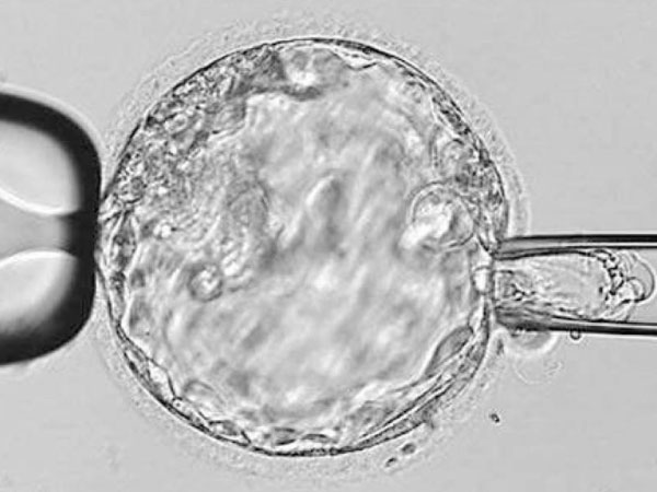 养囊第七天成功率是不是就很小了,养囊第七天翻盘