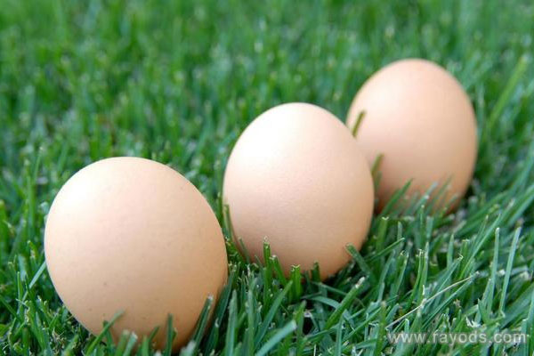 怀孕了梦见捡鸡蛋是什么意思？