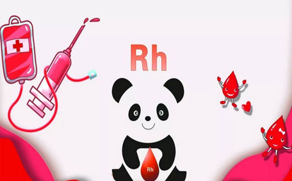 熊猫血型是什么型号-解读全球最稀有的血型