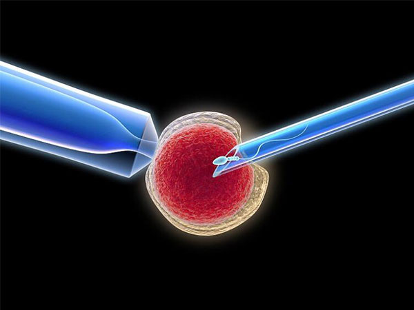美国新泽西医学生殖中心:费用,成功率全面解读