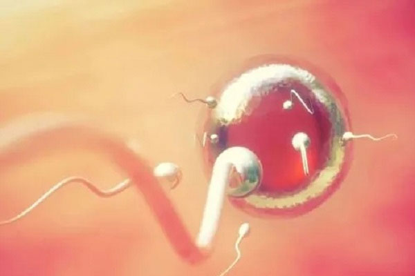 试管取卵前需要提前准备这些东西,建议收藏再看!