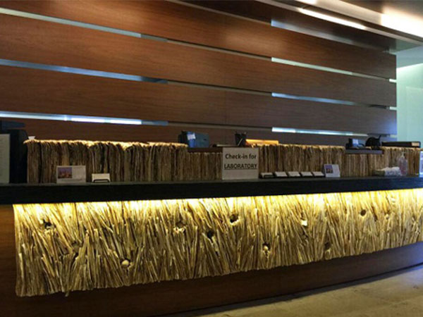 美国CFP试管生殖中心,成功率及费用介绍让您选择不再迷茫