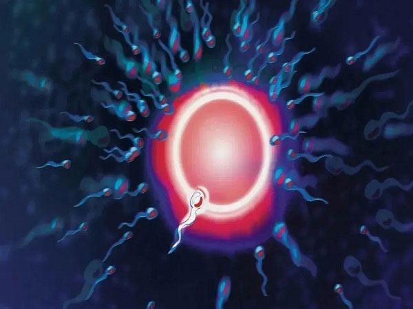 移植胚胎后如何提高着床成功率？做好以下几个方面是关键