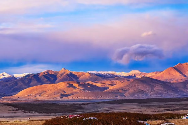 西藏供卵不排队试管医院名单一览